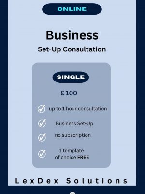 Business Set-Up Consultation - Single
