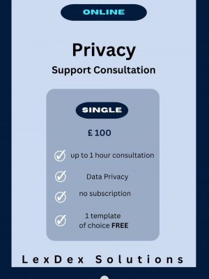Data Privacy Support Consultation - Single