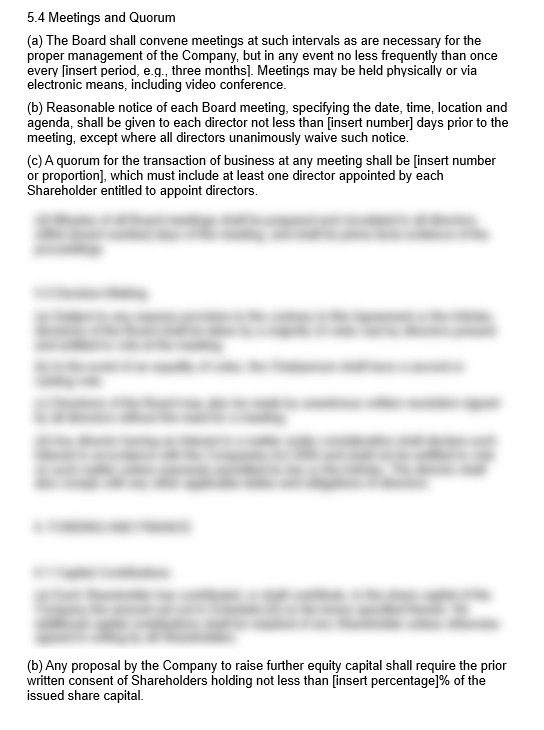 Shareholders Agreement - Image 3