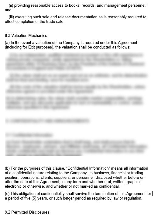 Shareholders' Agreement preview 3