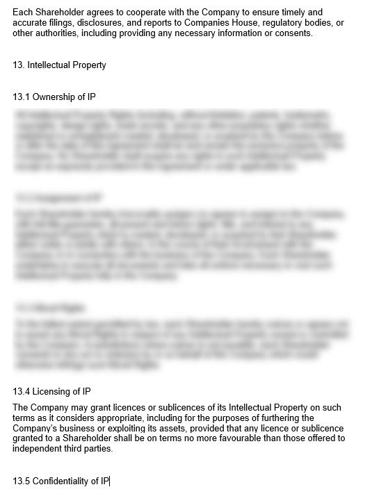 Shareholders Agreement - Image 5