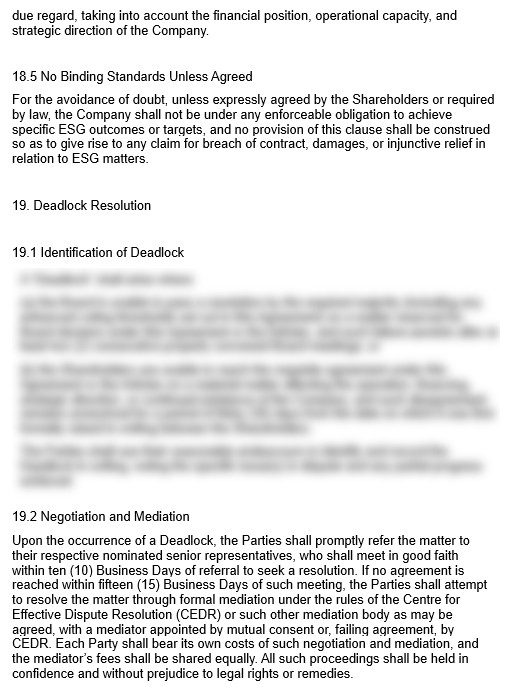 Shareholders' Agreement preview 5