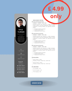 cheap cv template